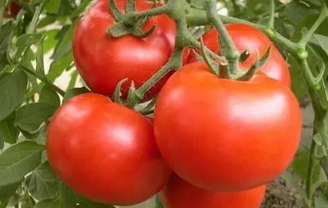 1689061567479745.jpg e276e292159d5373681c74535d33889f_146314253_3_20181007073715483.jpg