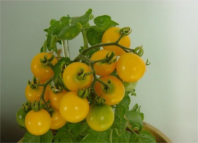 1689315867708112.jpg 36569322_5.jpg